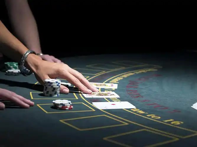 Video tutorial menggunakan fitur rekap angka tawonbet Video tutorial menggunakan fitur rekap angka tawonbet